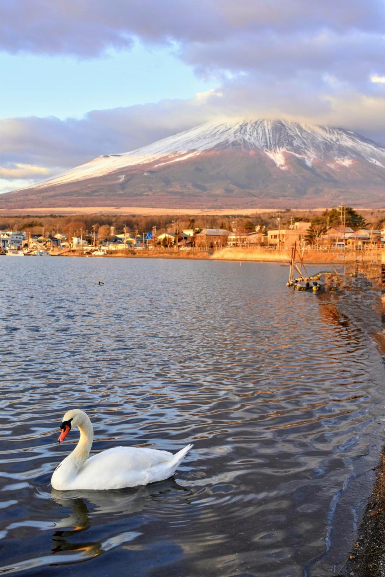 Hotel Mt. Fuji Yamanakako Exterior photo